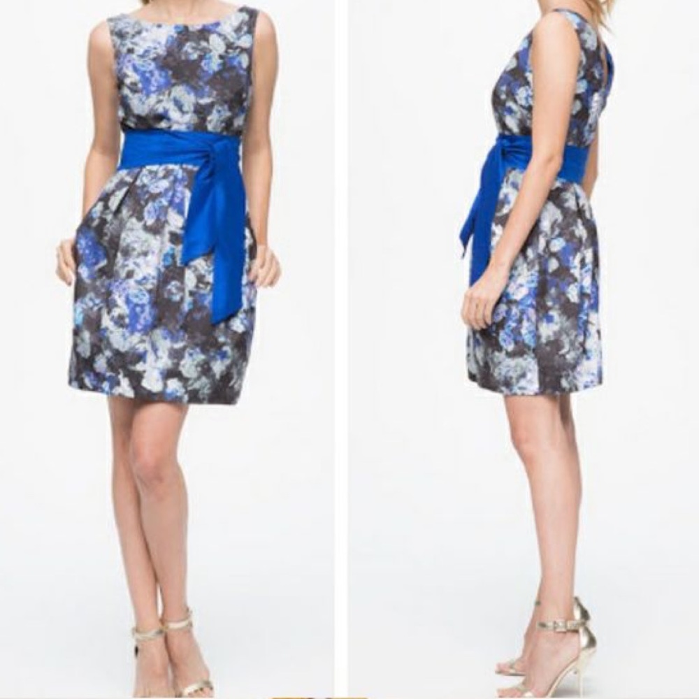 NWT Eliza J Fit and Flare Dress Size 16